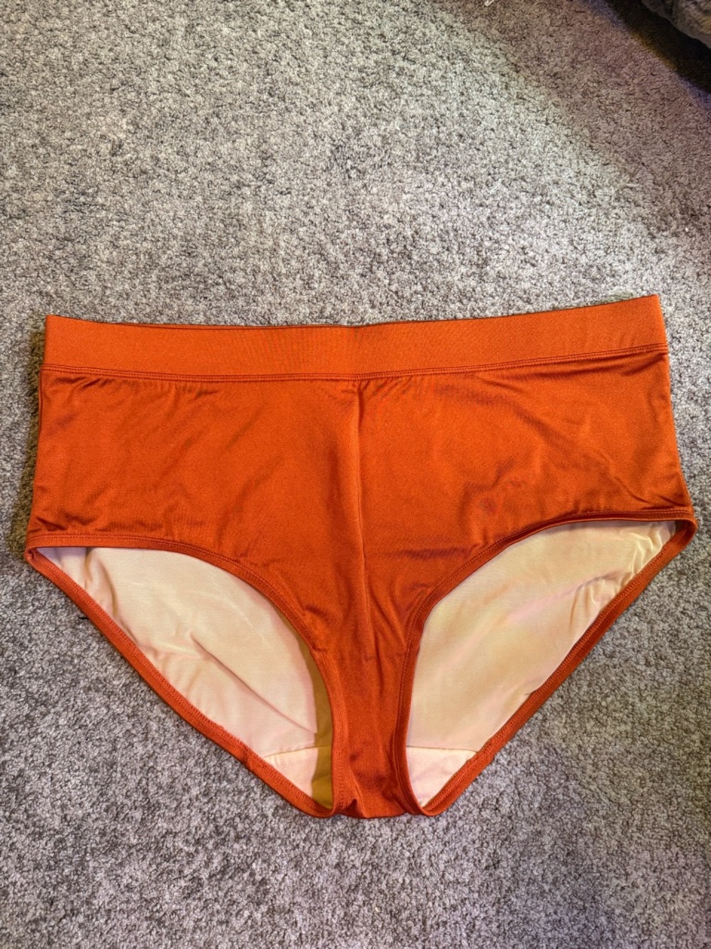 Lane Bryant Swim by Cacique Rust Orange High-Waist Swim Bottoms